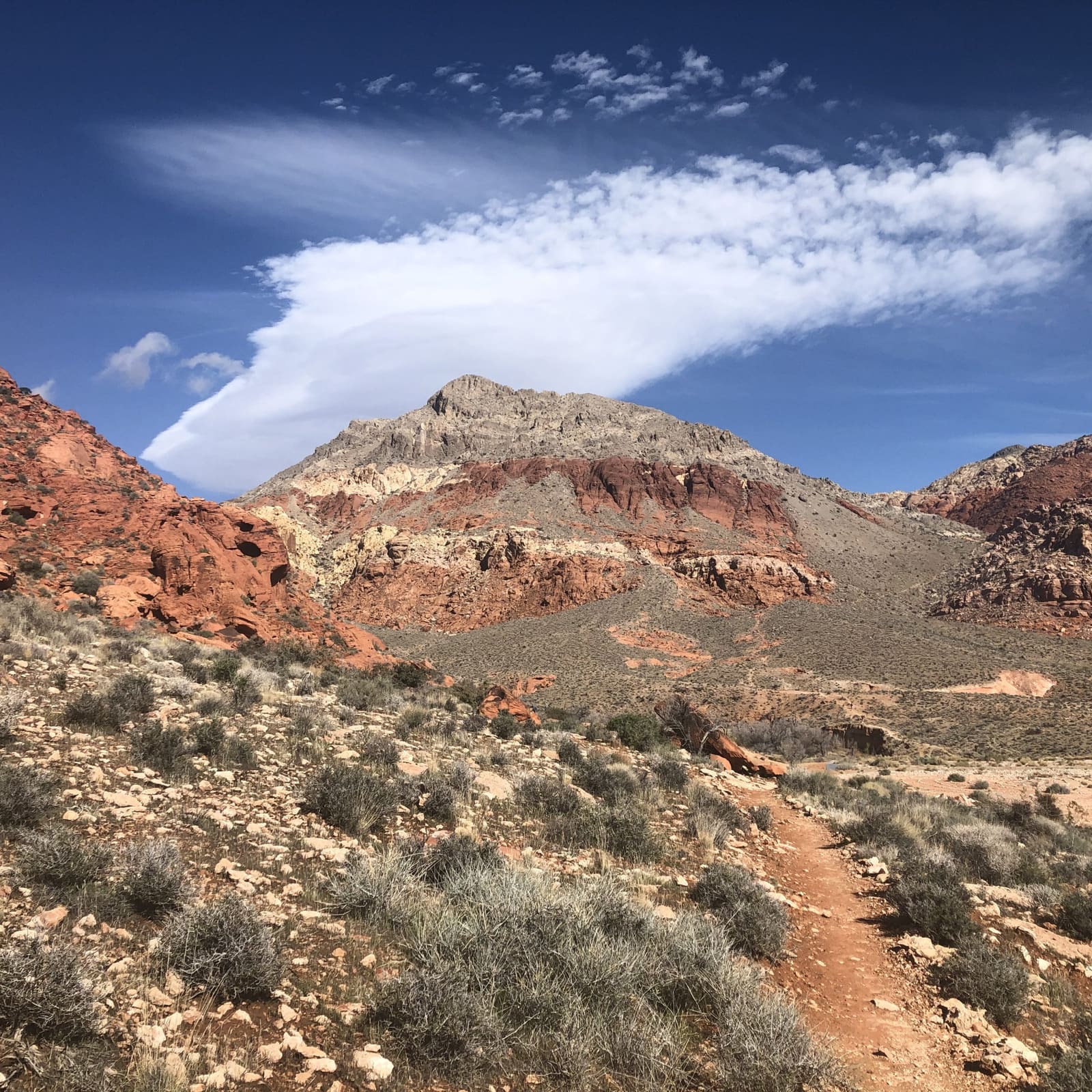 Girl Scout Trail