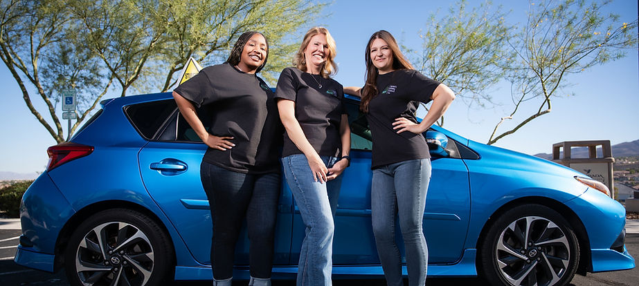 Teresa's Driving School