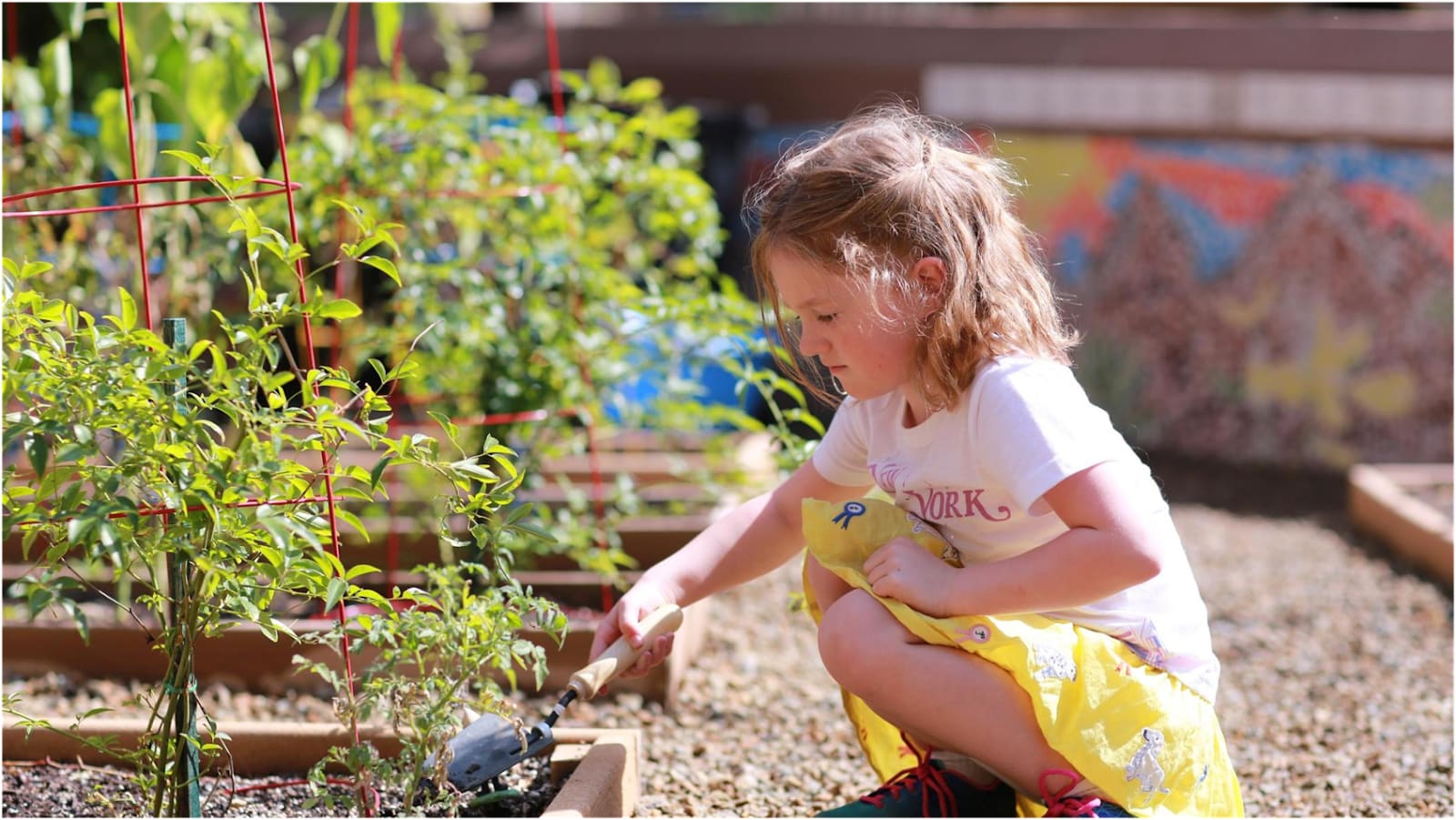 Foothills Montessori School