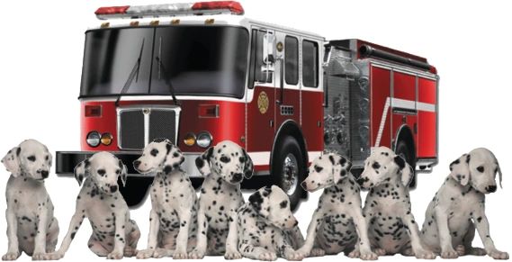 Rescue My Speech