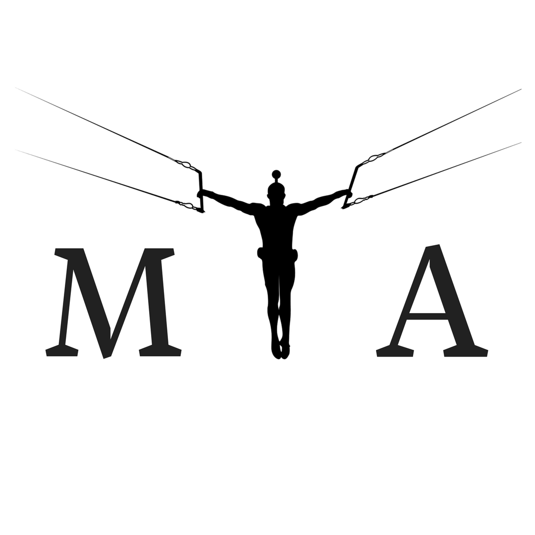 Mestre Trapeze Academy