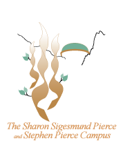 Temple Beth Sholom