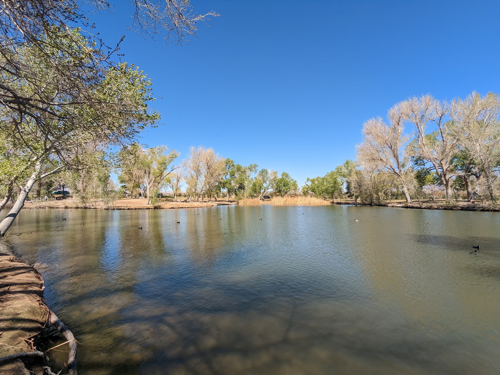 Tule Springs Ranch